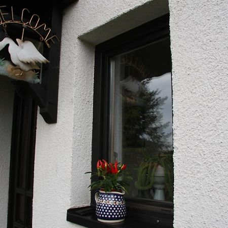 Ferienwohnung Am Steinbachtal Thale Zewnętrze zdjęcie