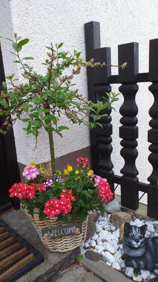 Ferienwohnung Am Steinbachtal Thale Zewnętrze zdjęcie