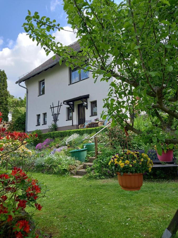 Ferienwohnung Am Steinbachtal Thale Zewnętrze zdjęcie