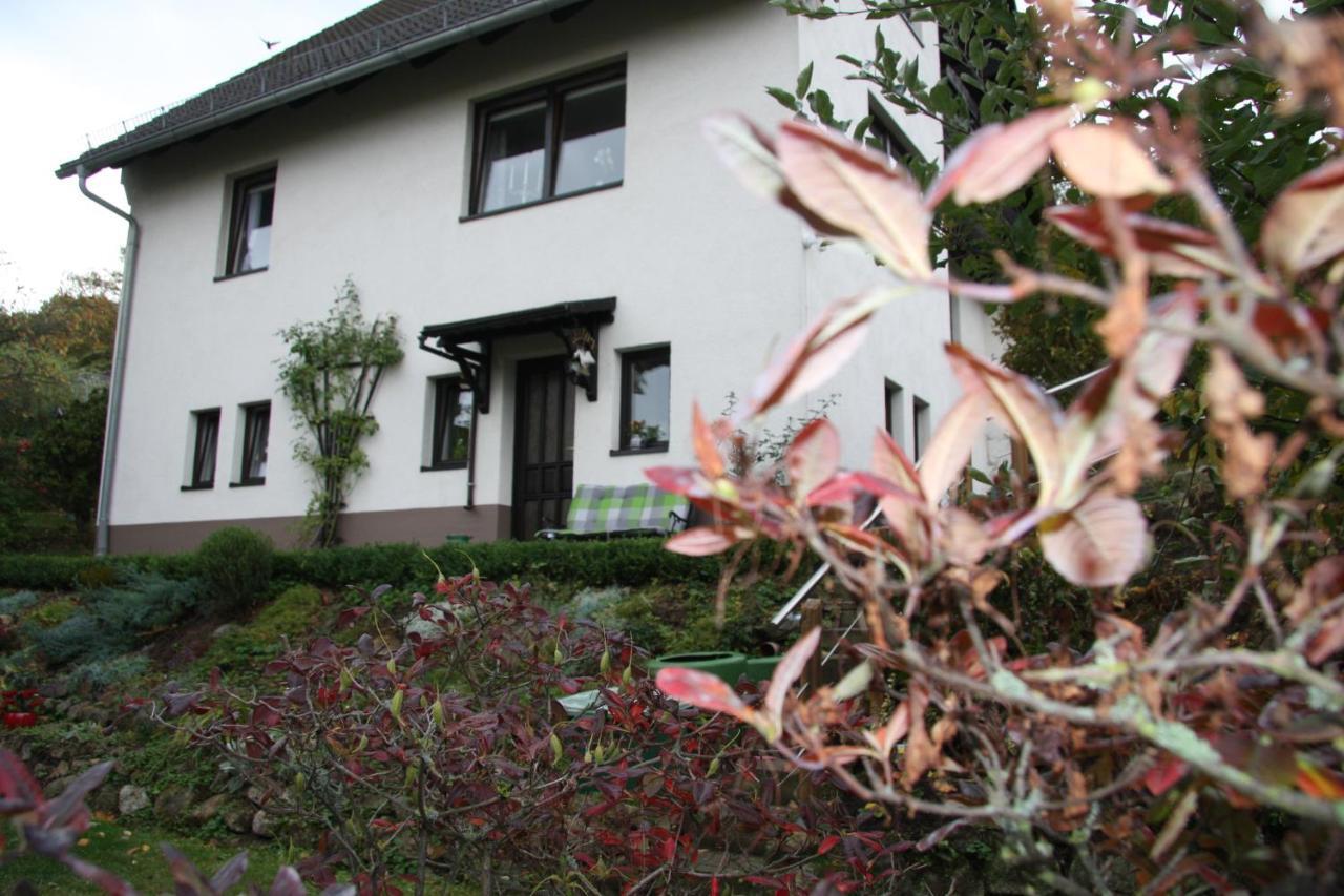 Ferienwohnung Am Steinbachtal Thale Zewnętrze zdjęcie