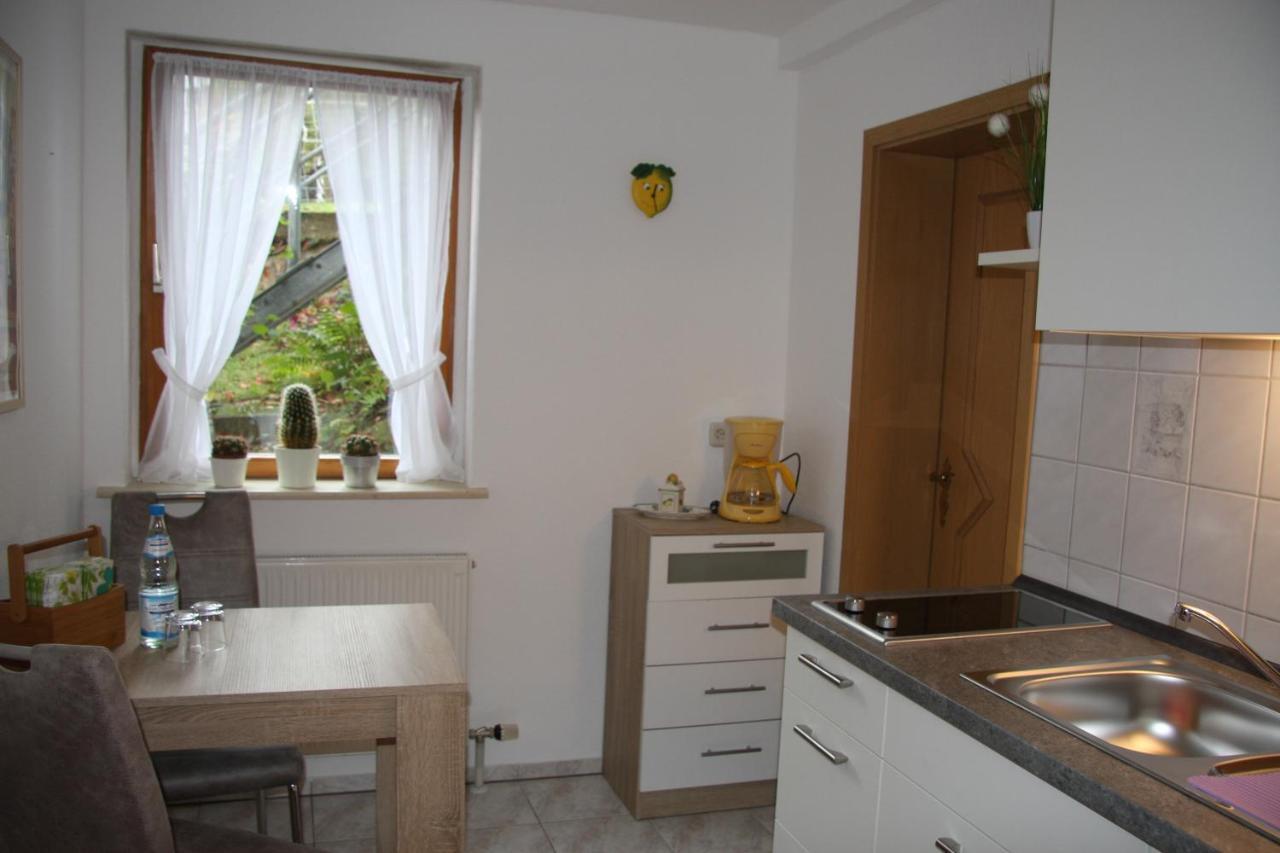 Ferienwohnung Am Steinbachtal Thale Zewnętrze zdjęcie