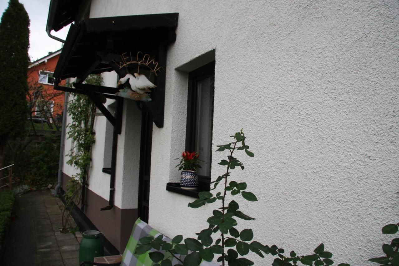 Ferienwohnung Am Steinbachtal Thale Zewnętrze zdjęcie